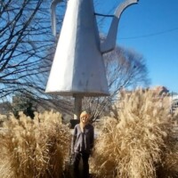 Oversized metallic teapot sculpture known as The Mickey Coffee Pot, standing tall in Winston-Salem with dried grasses in the foreground and bare trees in the background.