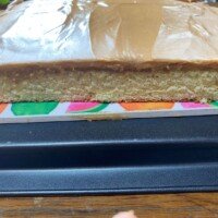 A close-up side view of a frosted sheet cake showing its layers