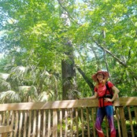 Person in a red hat and shirt standing on a wooden deck surrounded by dense green foliage at DeLeon Springs, wearing colorful leggings and gazing into the lush woodland scenery.