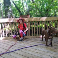Person relaxing on a wooden deck at DeLeon Springs with two leashed dogs—one sitting nearby and one cradled in their lap—surrounded by lush forest, with a rustic wooden railing and an unreadable park sign in the background.