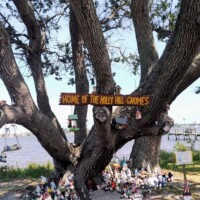 Wide shot of gnome-covered tree base with additional figurines scattered in the grass nearby.
