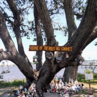Wide shot of gnome-covered tree base with additional figurines scattered in the grass nearby.