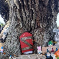 Waterfront gnome sanctuary with figurines nestled in leaves and mulch around the tree’s base."