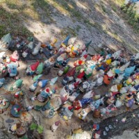 Gnomes with red hats and long beards positioned beneath a large tree trunk beside a riverbank.