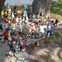 Tree ringed with colorful gnomes of varying sizes beside a calm, open water view.