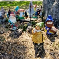 Gnome figures seated and standing at the base of a sprawling tree, seen from the left side.
