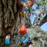Low-angle view of gnome community gathered under tree branches by the river.