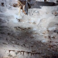 Ceiling view inside Fantastic Caverns in Springfield, Missouri, showing mineral-rich stalactites and textured rock formations under cave lighting.