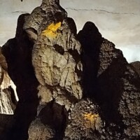 Rock formation inside Fantastic Caverns in Springfield, Missouri, with mineral textures and lighting that give the structure an eerie, face-like appearance.
