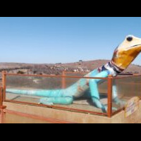 A colorful lizard sculpture wearing a scarf, enclosed in a transparent display case.