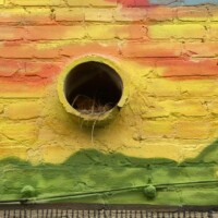 lose-up section of a colorful mural in Columbia, South Carolina, painted on a brick wall. Features a circular tube embedded into the wall with a birdhouse built inside, accented with a yellow rim and filled with twigs and nesting material; set against a gradient sunset background with green hill-like shapes at the base.