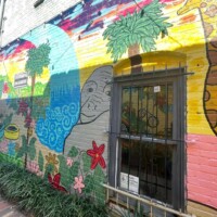 Vibrant wall mural in Columbia, South Carolina, featuring a giraffe and turtle surrounded by whimsical flowers, greenery, and a swirling blue design. A barred window breaks the composition at center, framed by a small sign and string lights above. Painted textures ripple across yellow, pink, and green sections, lending the urban setting a playful, botanical atmosphere.