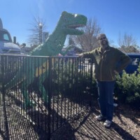 Whimsical outdoor scene featuring a person in black standing beside a green T-Rex statue enclosed in a black metal fence. The T-Rex is painted with yellow accents and looms playfully behind the fence. One hand on the hip, the other resting on the fence, the person strikes a casual pose beneath a clear blue sky. Background elements include leafy trees, a parked vehicle, and a cheerful sense of roadside charm—like stumbling across Jurassic sass in suburbia.