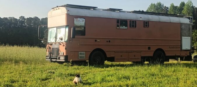 Authentic bus life - converted school bus parked peacefully in green field with cat relaxing in grass