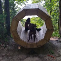 Person sitting inside elevated octagonal wooden megaphone with dog at Agnes Andreae Nature Preserve Michigan — forest backdrop, shaded trail moment