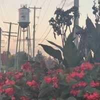 Holly Michigan water tower with red flowers in foreground and power lines overhead, blending small-town charm with urban infrastructure