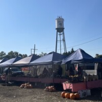 Fall market scene in Holly Michigan with vendor tents, pumpkins, and the Holly Michigan water tower in the background under a clear blue sky.