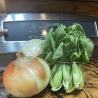 Kitchen countertop in Holly Michigan with large yellow onion, and baby bok choy in front of stove and spice jars