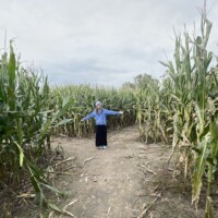 A woman stands at a fork in a dirt pathway inside a tall corn maze, arms outstretched. The corn stalks are higher than her head, and the sky is overcast overhead.