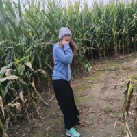 A woman stands on a dirt path inside a tall corn maze, holding her hand near her face and looking to the side. Corn stalks surround the path and the sky is overcast.