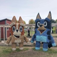 Two large hay sculptures designed to resemble Bluey and Bingo from the animated series Bluey stand outdoors on a grassy area. The figures are constructed from stacked and painted hay bales, with a red building and fencing in the background.