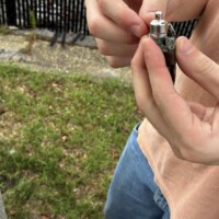 Cache Types