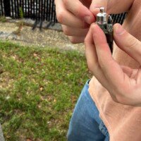 Cache Types