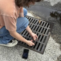 Down the drain...
