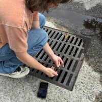 Down the drain...