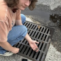 Down the drain...