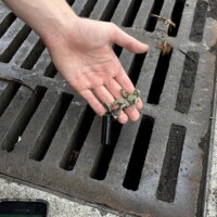 Down the drain...