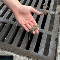 Down the drain...