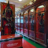Ornate mahogany and glass display cases showing historic Clydesdale harness equipment, with a red Budweiser Clydesdales trunk in the foreground.