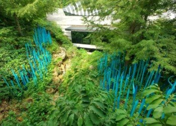 Dale Chihuly's blue glass reed sculptures rising from the hillside along the Art Trail at Crystal Bridges Museum in Bentonville, Arkansas.