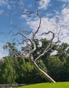 Close-up view of Roxy Paine's stainless steel tree sculpture Yield against a blue sky at Crystal Bridges Museum.