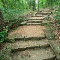 Stone steps winding up a wooded trail at Crystal Bridges Museum.