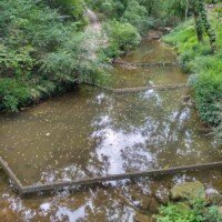 A calm, stepped stream feature reflecting the trees along a Crystal Bridges Museum trail.