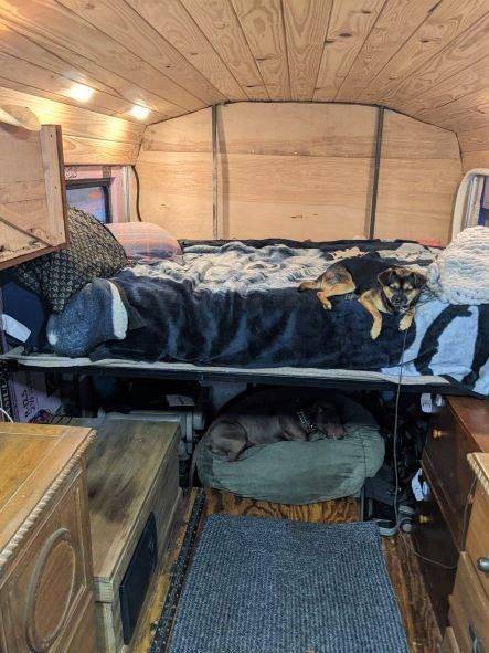 Converted bus living area with elevated bed above wooden cabinets, one dog on the bed, one dog in a bed below, wood-paneled ceiling with recessed lighting, and carpeted floor